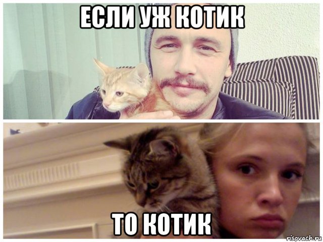 Мужчина который любит котиков мемы