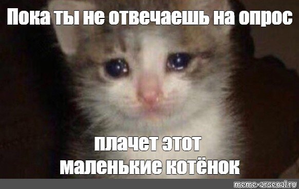 Котик плачет Мем