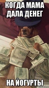 Купюры с собаками