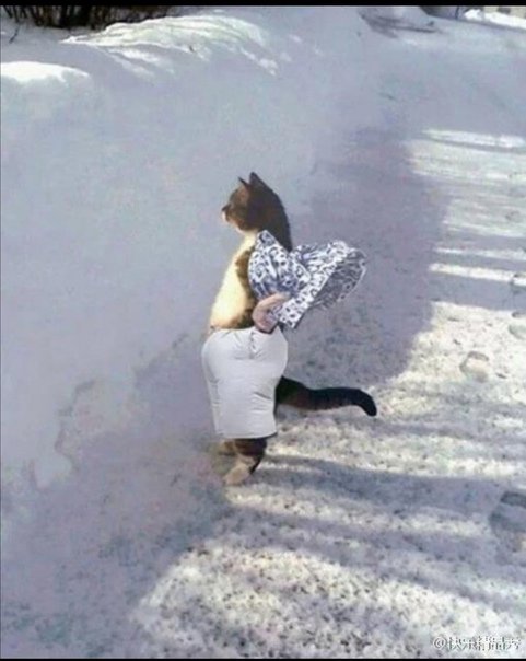 Женщины в сугробе смешные