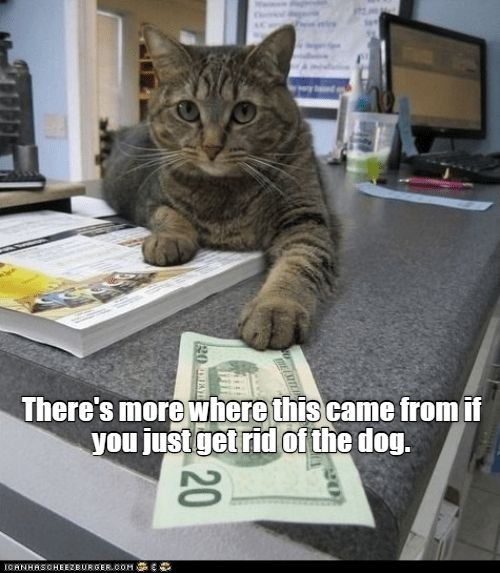 Кот с деньгами