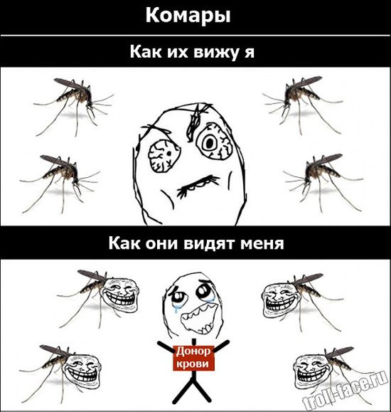 Комар Мем