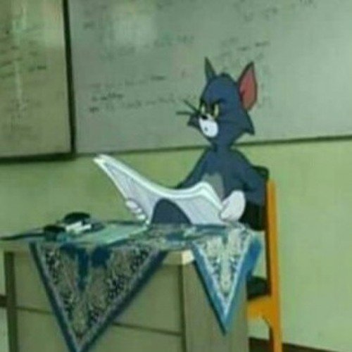 Кот с газетой