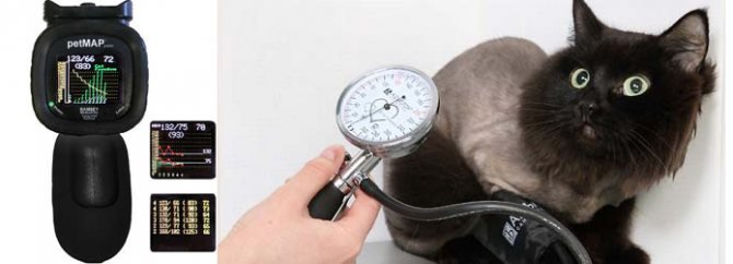 Аппарат для измерения давления у кошек