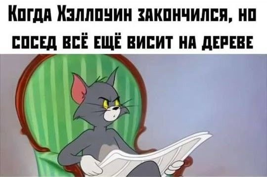 Кот том с газетой