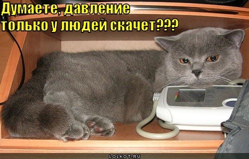 Приколы про давление