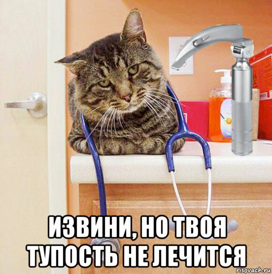 Тупость не лечится