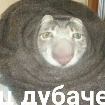 Дубачелло Мем