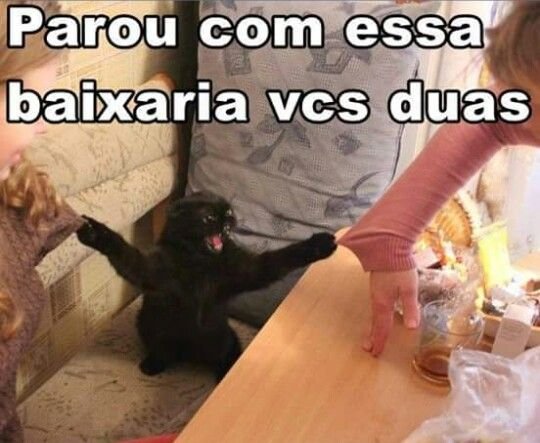 Держит кота