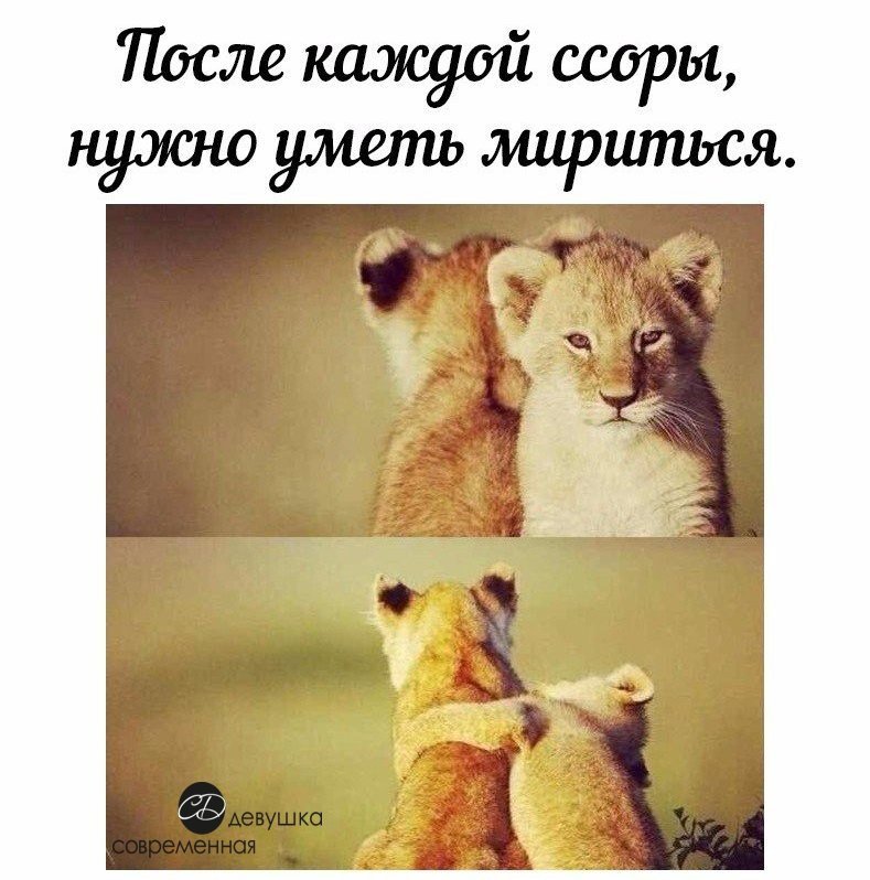 Примирение картинки