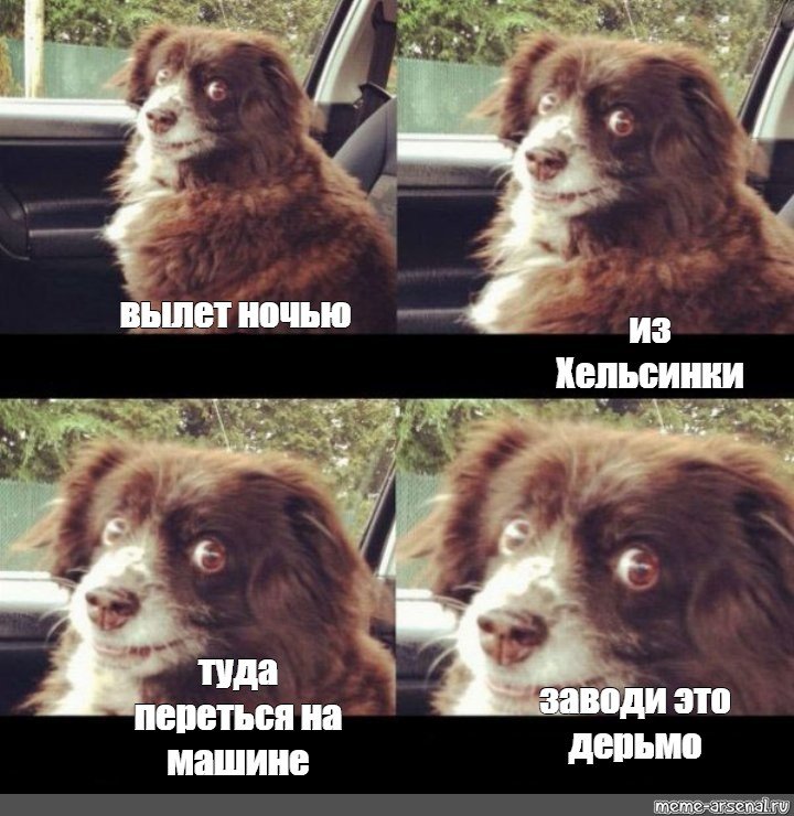 Ппц дубачелло Мем