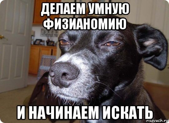 Лотерея прикол