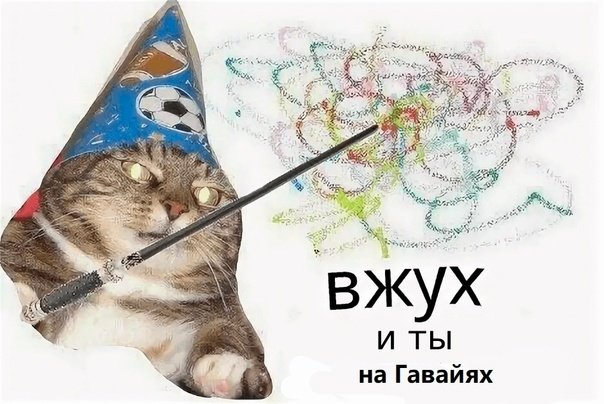 Кот волшебник вжух