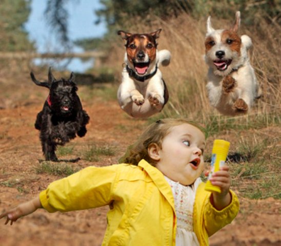 Человек убегает от собаки