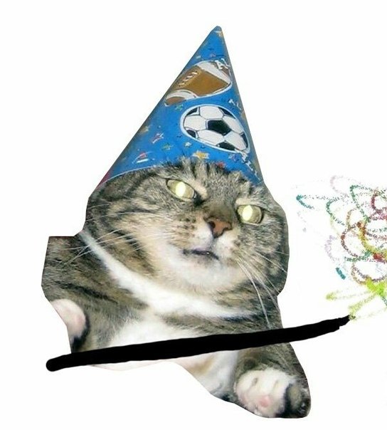 Кот вжух Мем