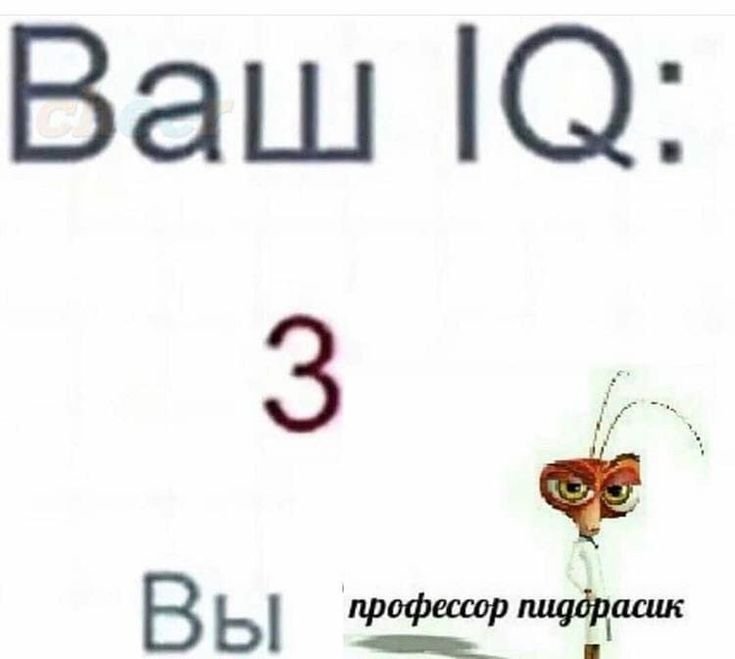 Ваш айкью 0 вы