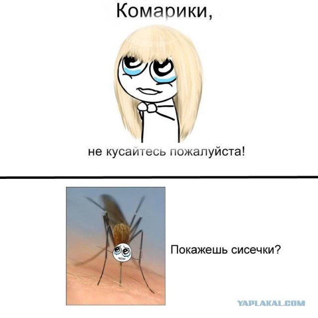 Комарик Мем