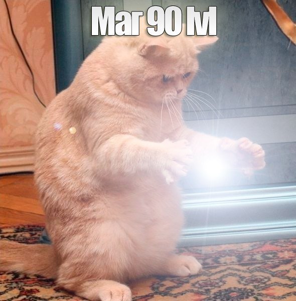 Кот чародей