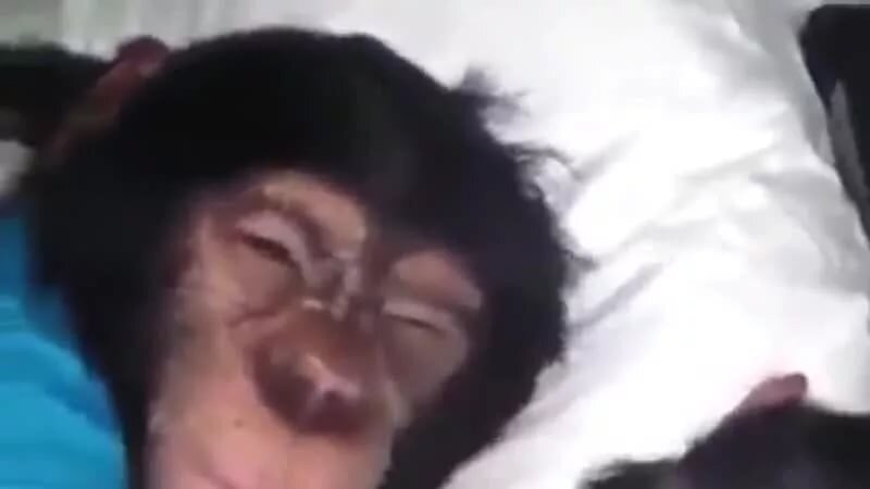 Ержан вставай обезьяна