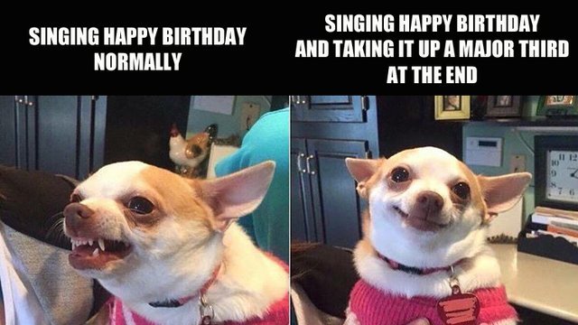 Голодный покушал Мем