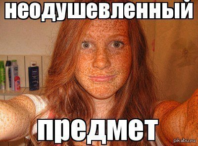 Мемы про рыжих