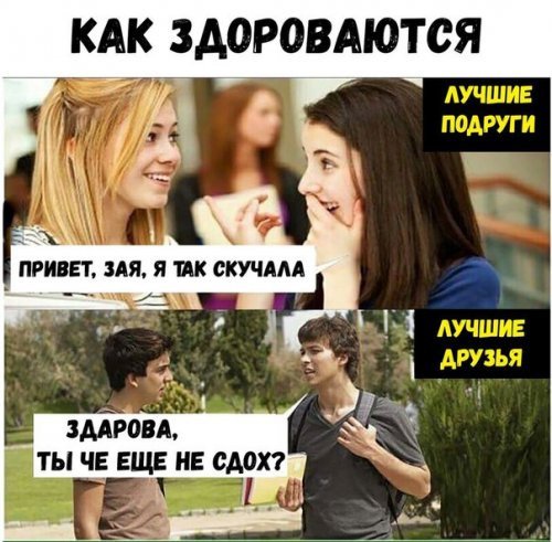 Мем про лучшего друга девушки