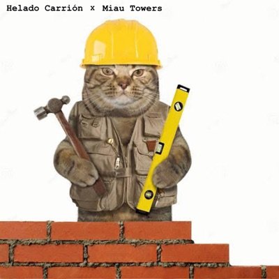 Кошка в строительной каске