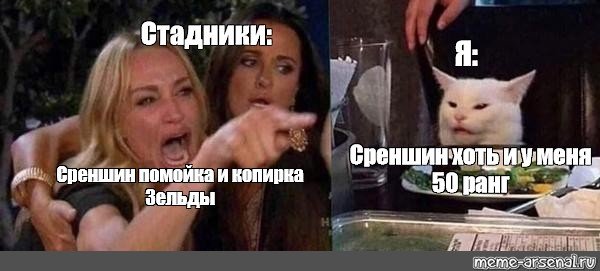 Мем с котом и двумя женщинами