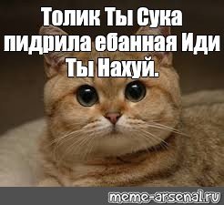 Толик дебил