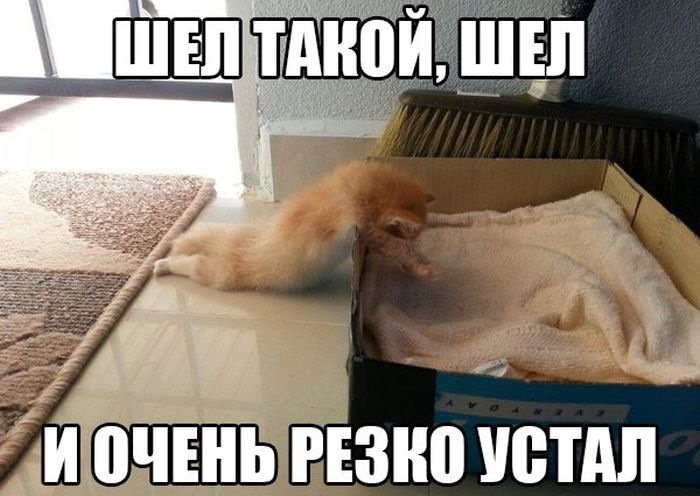 Устала на работе