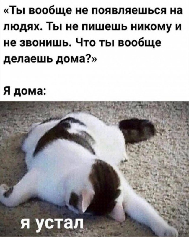 Усталость Мем