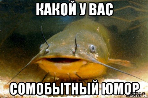 Девушка рыба