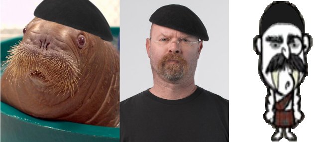 Джейми Хайнеман морж