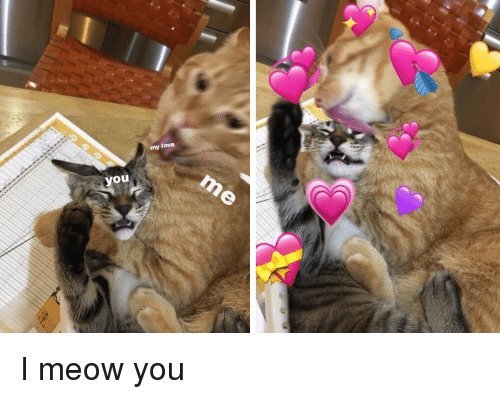 Котик с сердечком