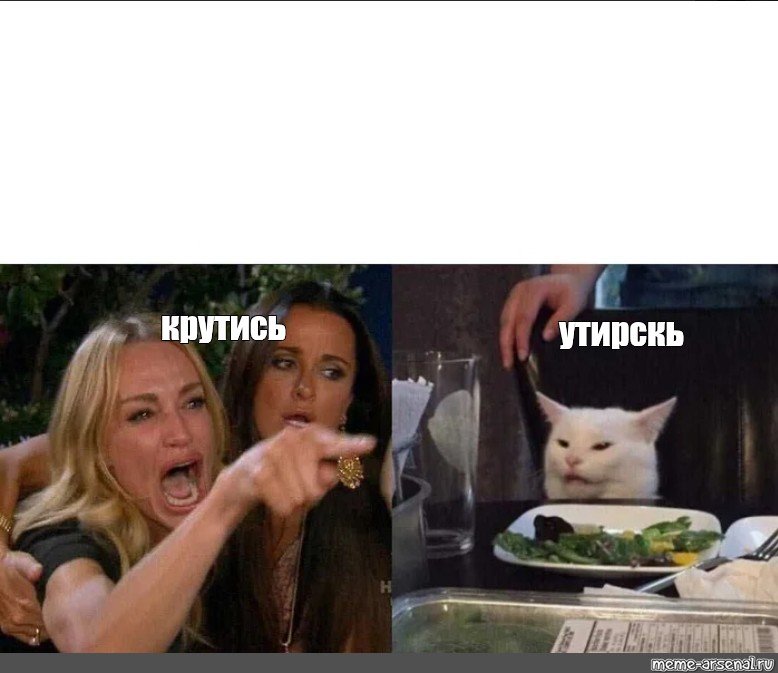 Мем женщина и кот за столом