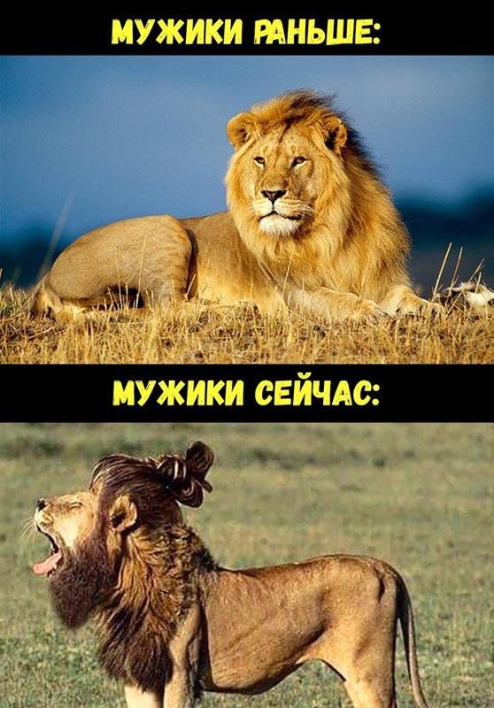 Мужики раньше и сейчас львы