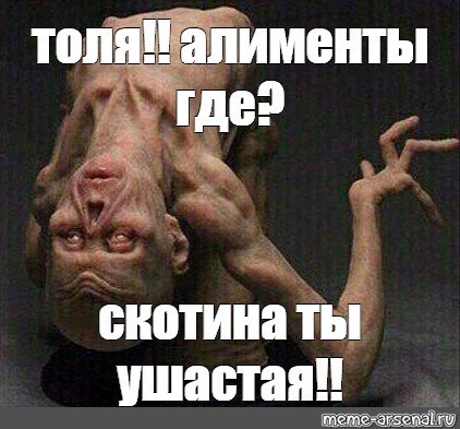 Мем про Толю