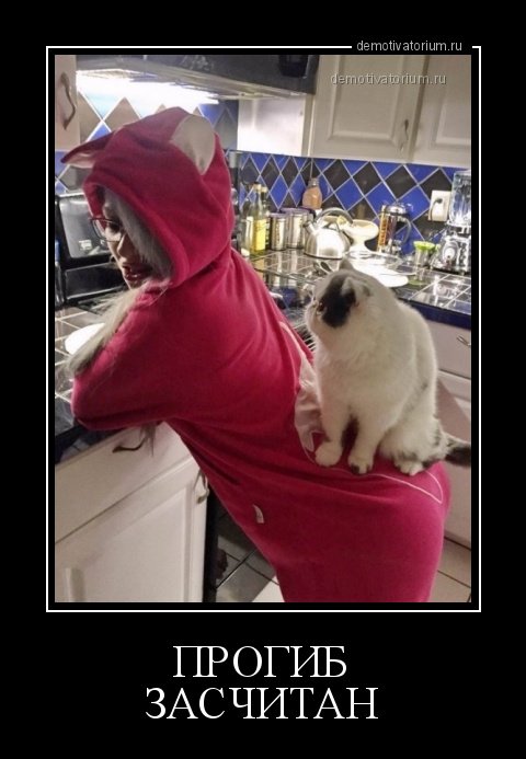 Прогиб защитан Мем