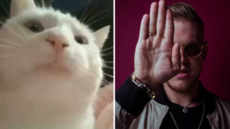 Кивающий кот