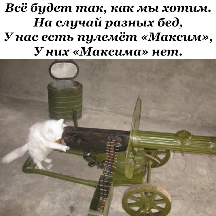 Кот с пулеметом