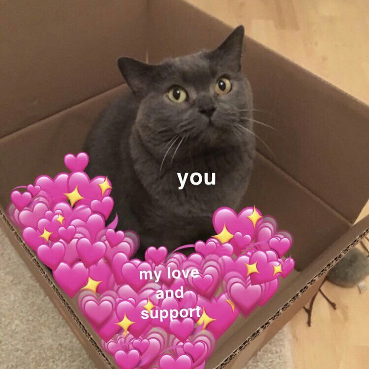 Коты с сердечками и надписями