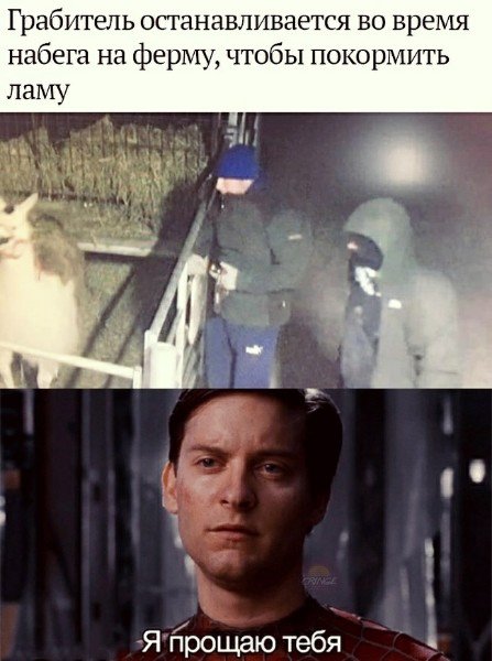 Тоби Магуайр прощает