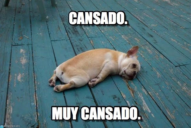 Уставшие животные