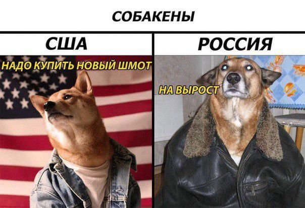 Смешной собакен Мем