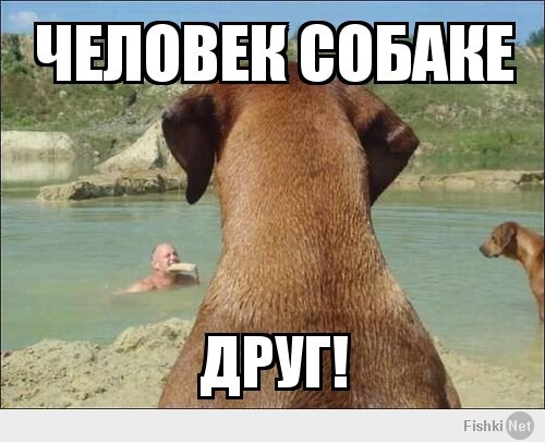 Собака друг человека Мем