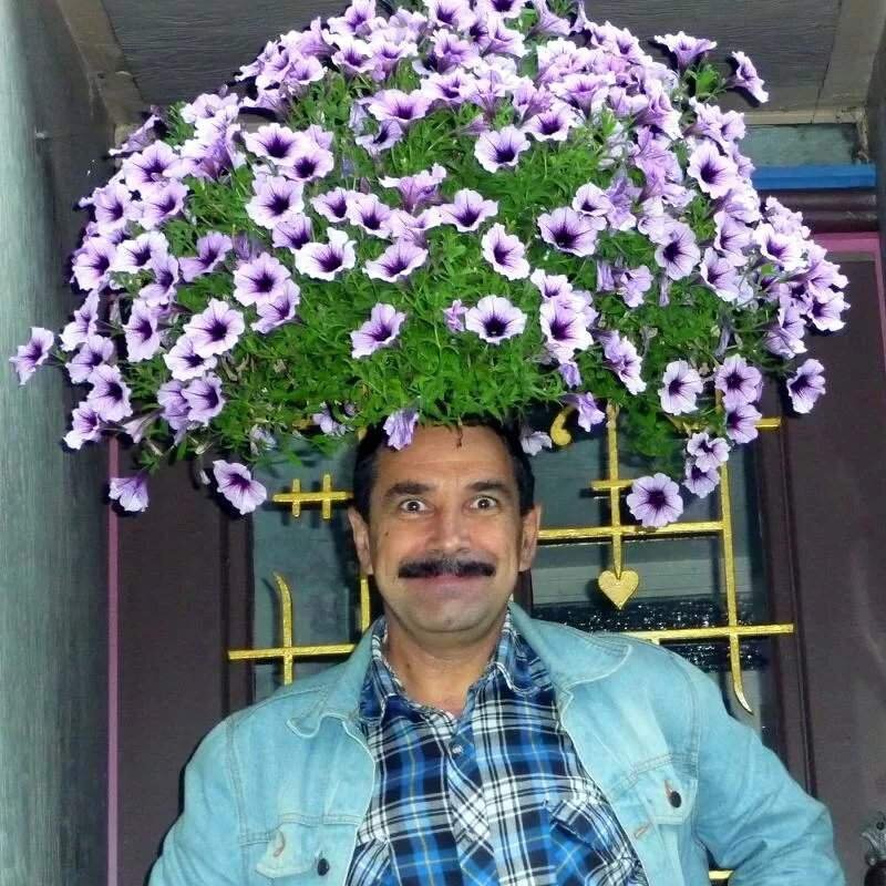 Смешные цветы