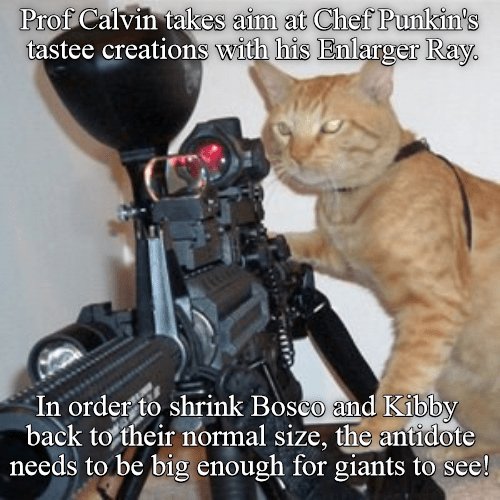 Коты с автоматами