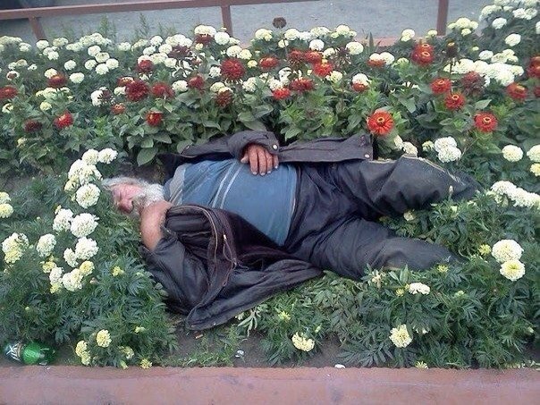 Алкаш в цветах