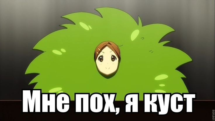 Кустик аниме