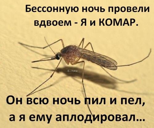 Комар прикол
